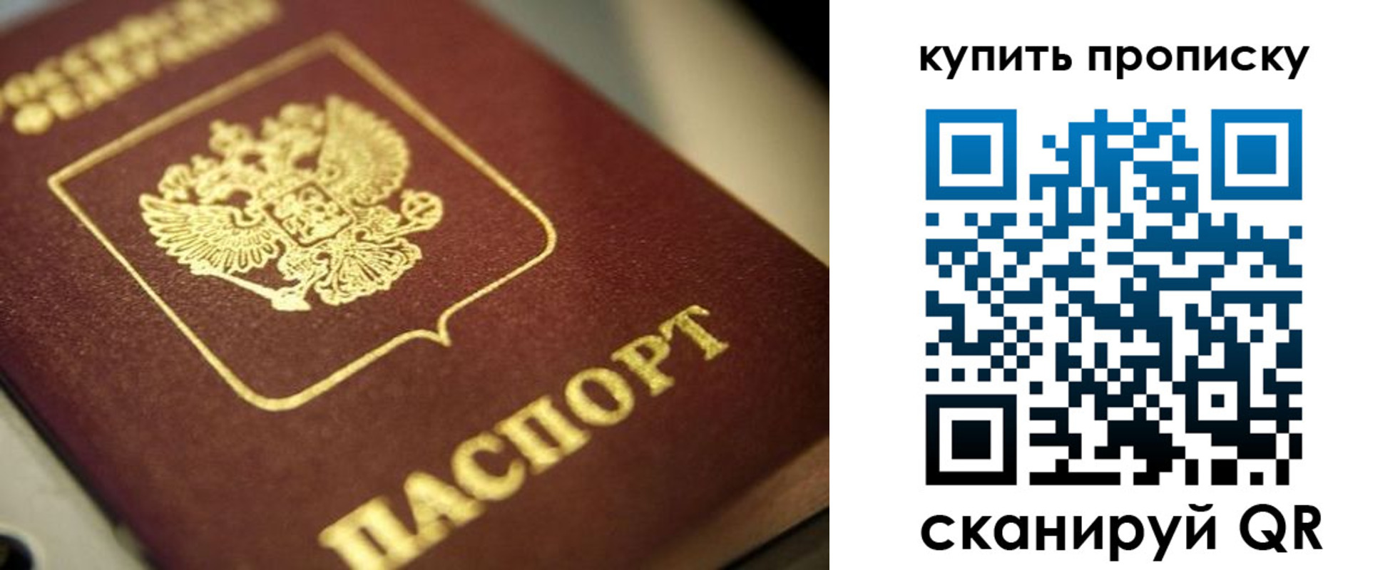 прописка поиск в Новоалександровске